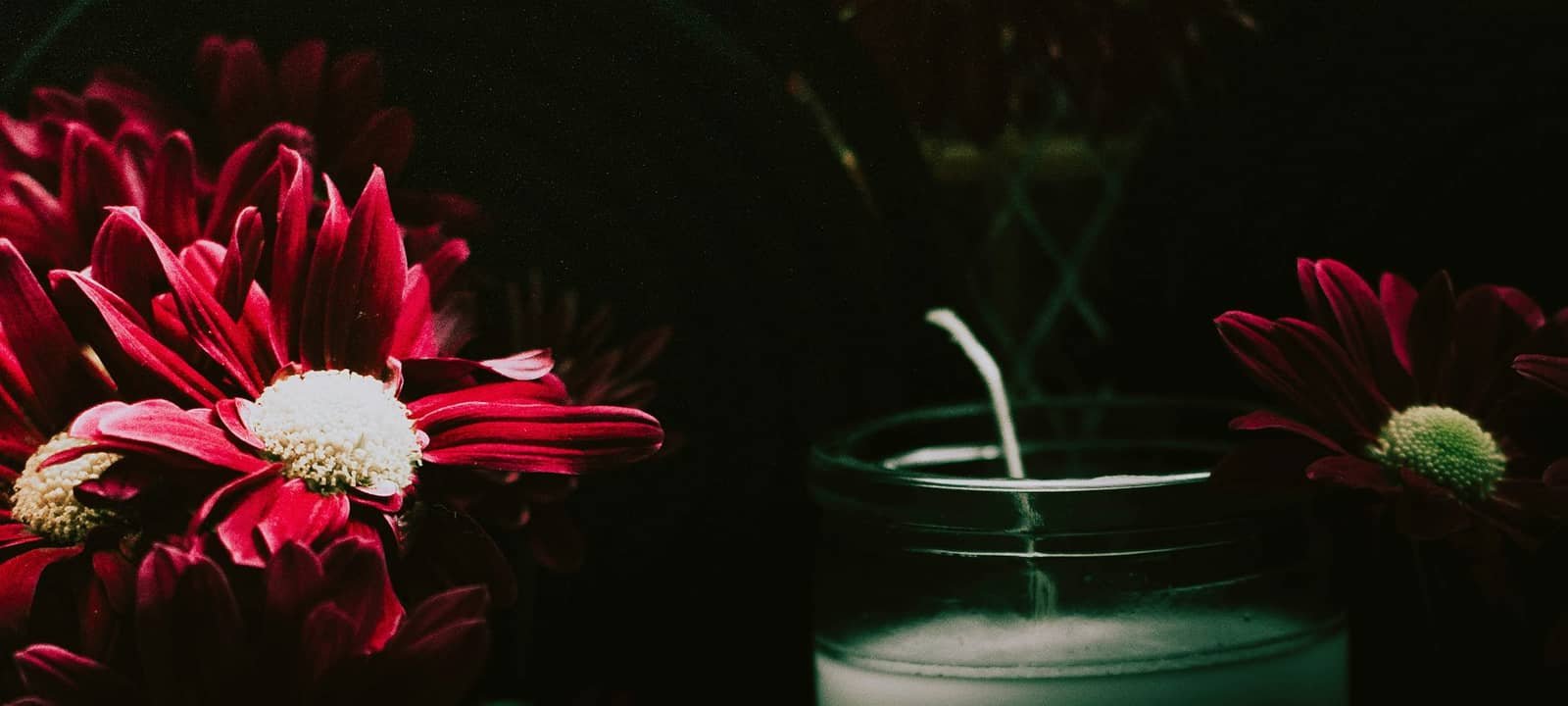 Velas e flores brancas em composição serena